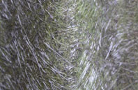 Cefn Golau fibreglass roof work